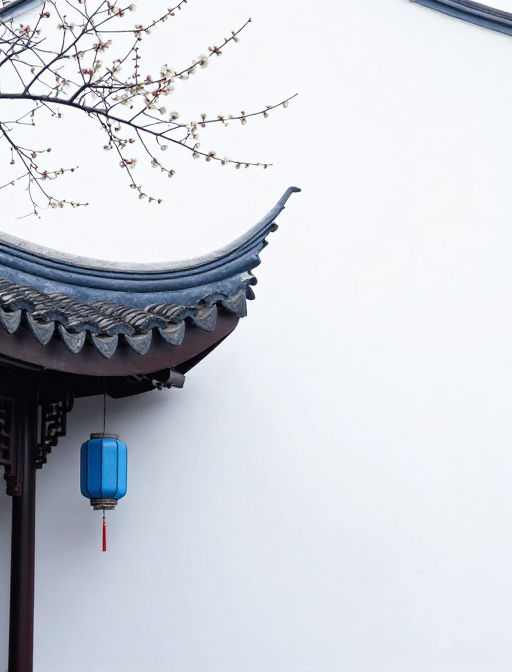 禅意东韵：中式飞檐与梅花的静谧之美