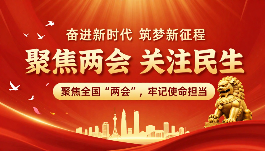 聚焦两会 关注民生：庄严热烈的党政宣传海报
