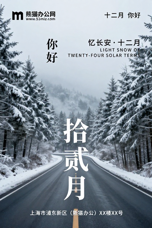 拾贰月·清冷雪景：电影感冬日氛围海报