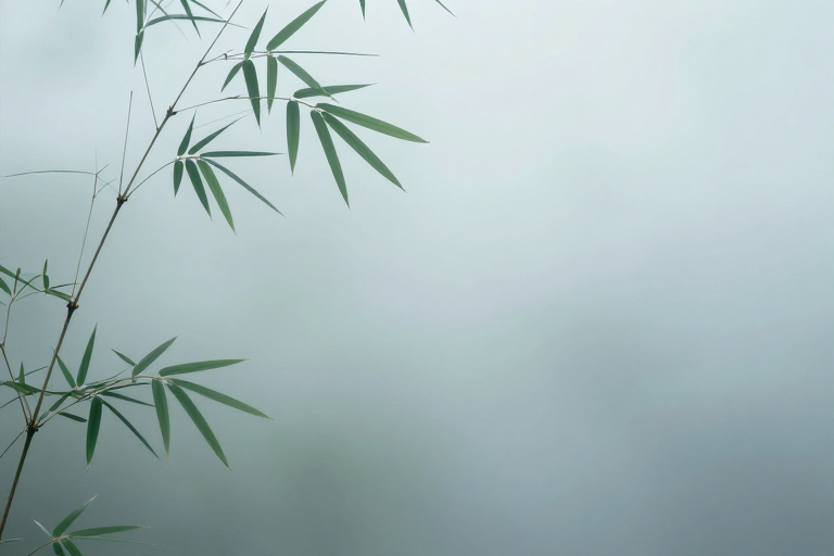 禅意竹林静境:东方留白美学背景图
