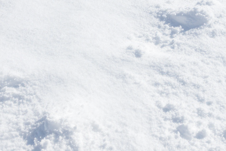 纯净雪景高清摄影，冷调质感适合冬季广告