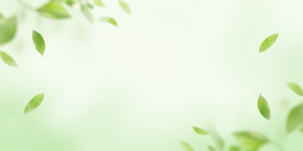 清新治愈浅绿渐变背景,诗意留白设计