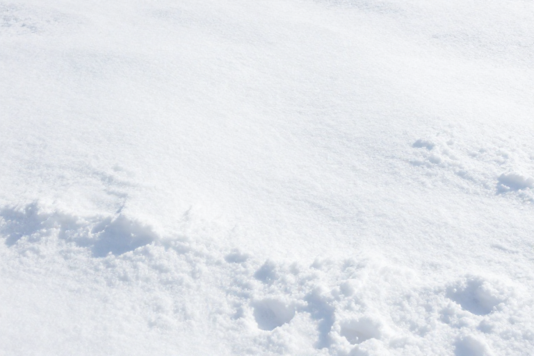 纯净冬日雪景：高清质感视觉盛宴