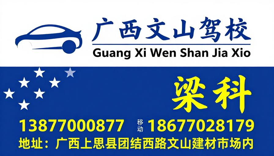 广西文山驾校现代简约宣传海报