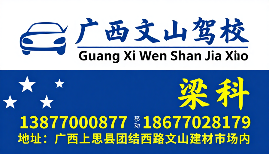 广西文山驾校蓝白风格专业宣传海报