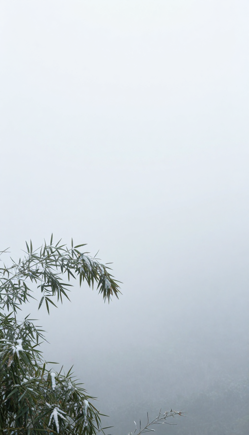 雾霭竹林雪景禅意红影静谧意境