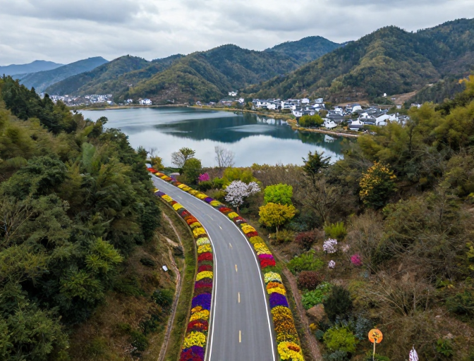 春日公路花带：青山湖村的静谧画卷