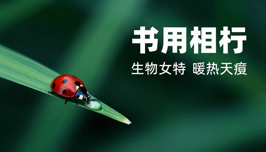 静谧绿叶微距：瓢虫与露珠的生态诗篇