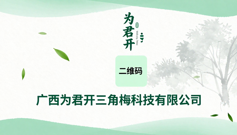 淡雅水墨风企业宣发海报