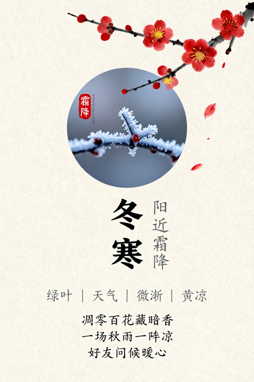 霜降意境：水墨红梅与冰晶霜花的典雅中国风海报