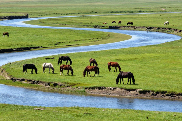 草原秘境：骏马悠游的生态画卷