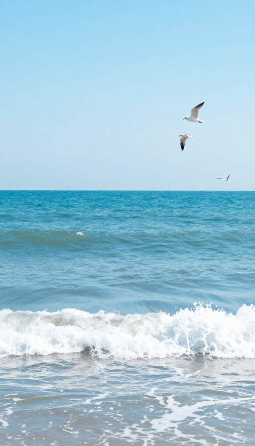 梦幻蓝海:海鸥与浪花的海上诗篇