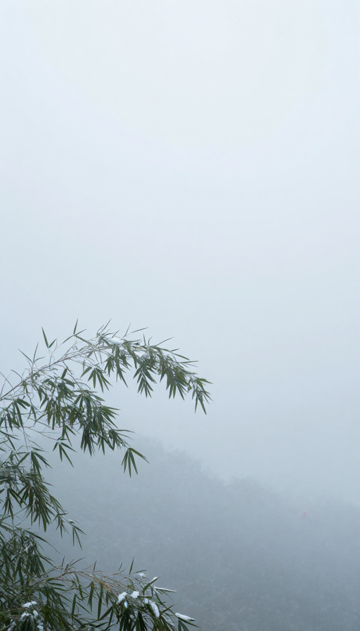 禅意竹林雪景：孤寂背影在雾中若隐若现