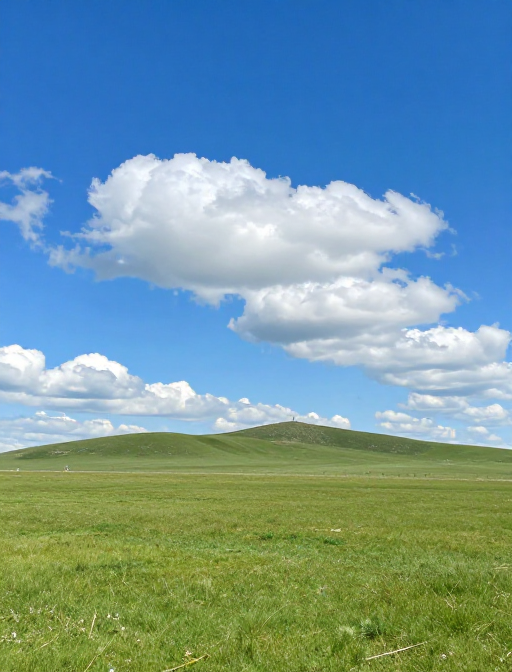 草原辽阔震撼远景,自然风光大片